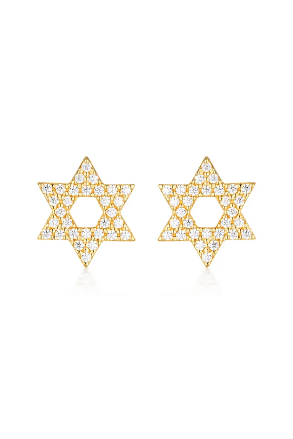GEORGINI Rock Star Star Of David Earrings